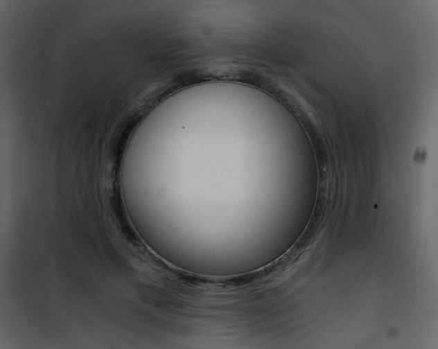X0000101950597200807171135