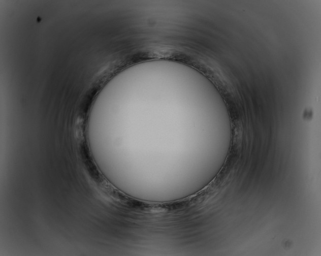 X0000101950598200807171135