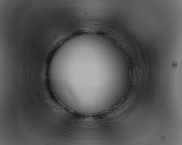 X0000101950600200807171135