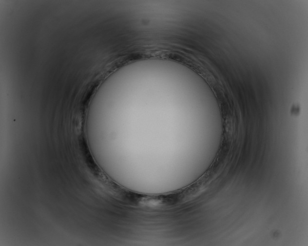 X0000101950602200807171135