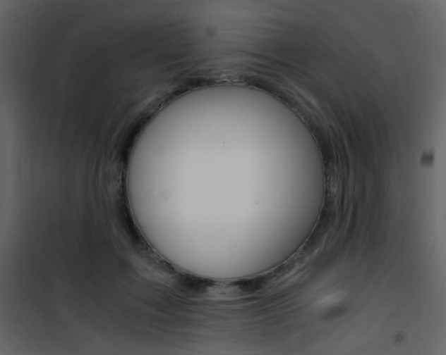 X0000101950603200807171135