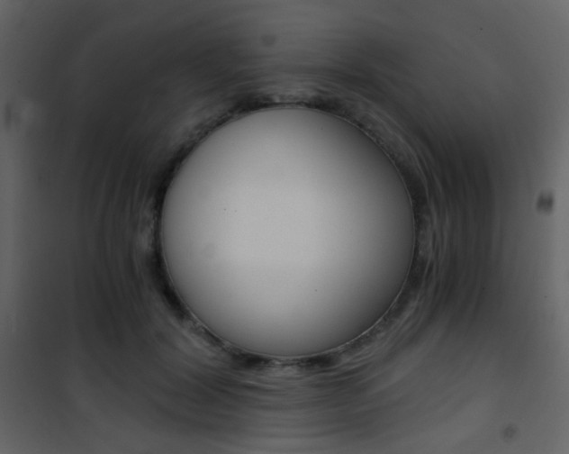 X0000101950604200807171135