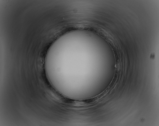 X0000101950605200807171135