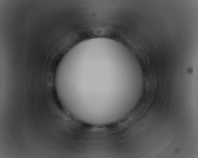 X0000101950606200807171135