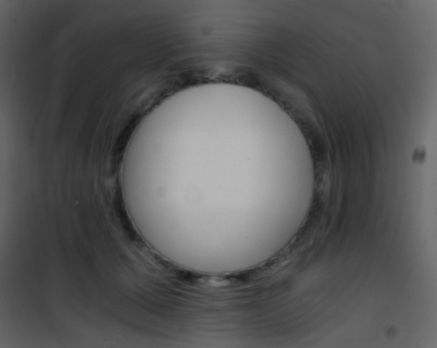 X0000101950607200807171135