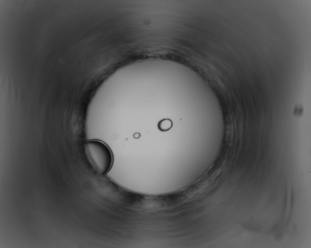 X0000101950608200807171135