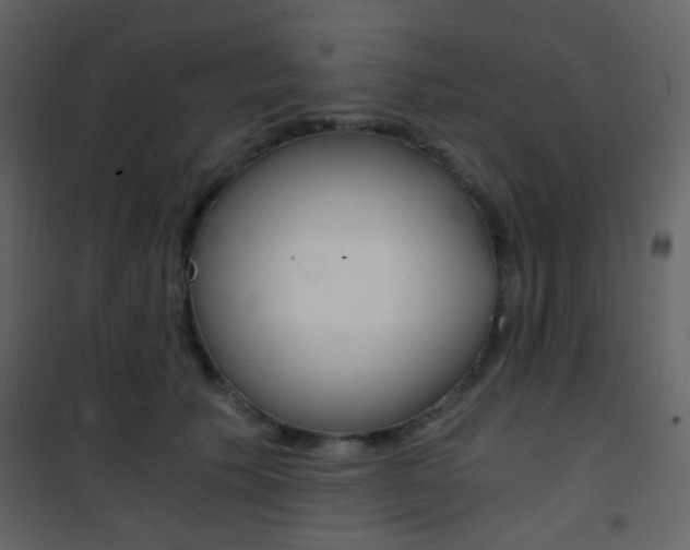 X0000101950609200807171135