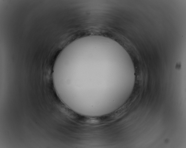X0000101950610200807171135
