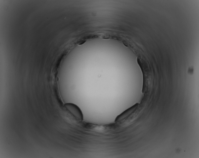 X0000101950611200807171135