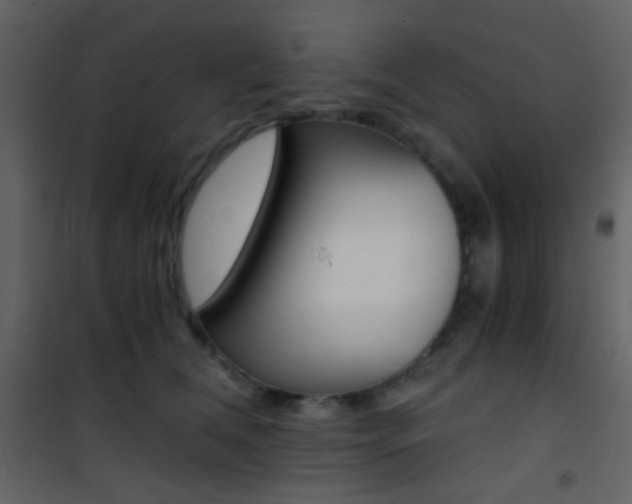 X0000101950612200807171135