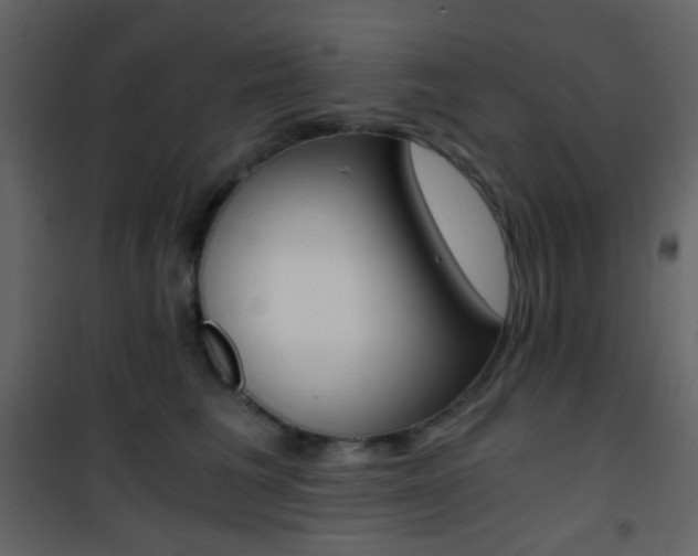 X0000101950613200807171135