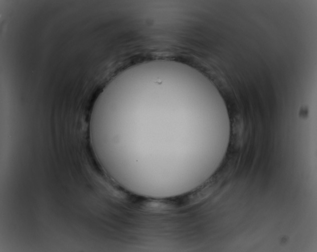 X0000101950614200807171135