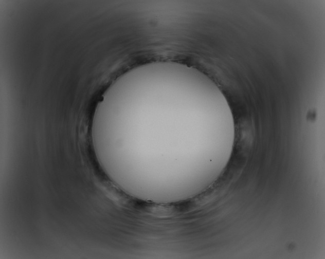 X0000101950615200807171135