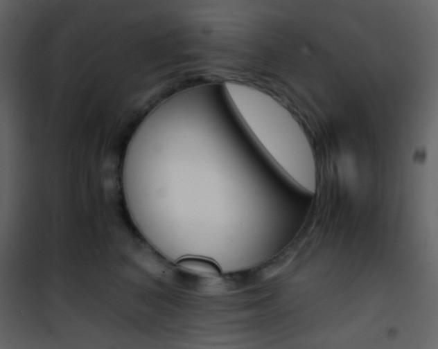 X0000101950616200807171135