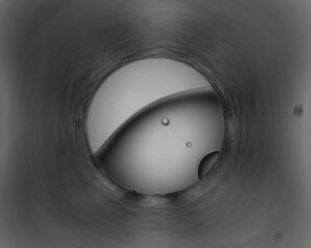 X0000101950617200807171134