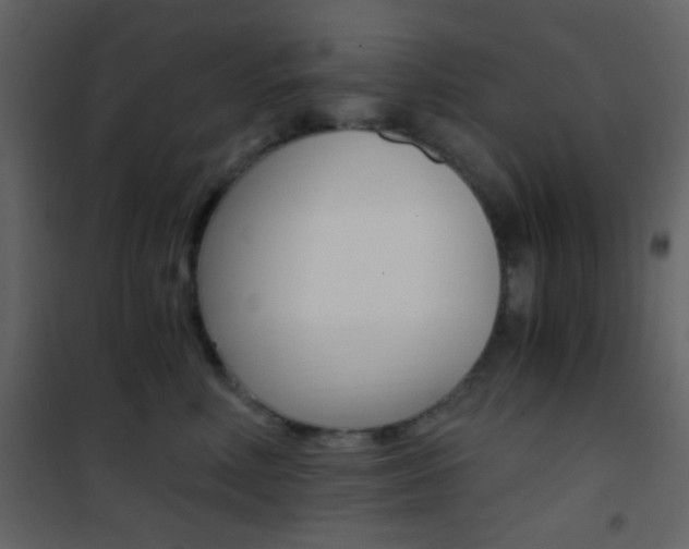 X0000101950618200807171134