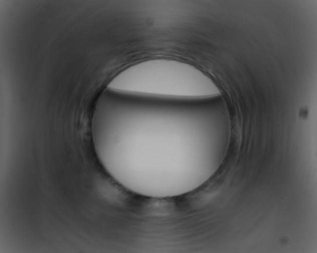 X0000101950619200807171134