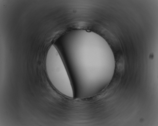 X0000101950620200807171134