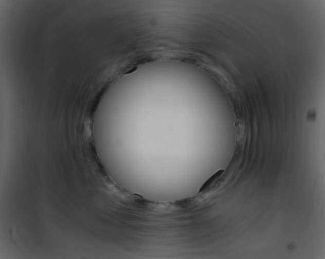 X0000101950621200807171134