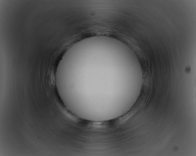 X0000101950622200807171134
