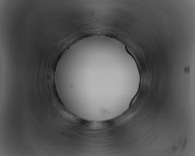 X0000101950623200807171134