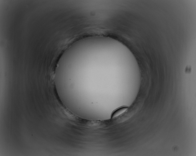 X0000101950624200807171134