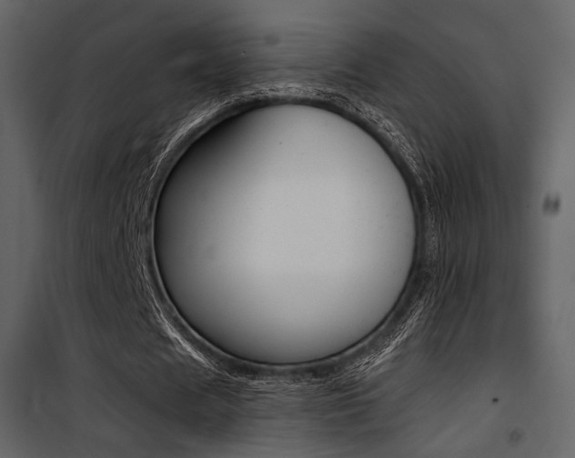 X0000101950625200807171134