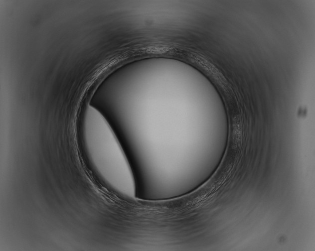 X0000101950626200807171134