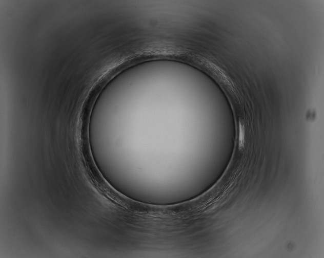 X0000101950627200807171134