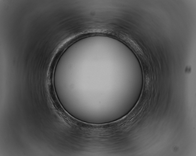 X0000101950628200807171134