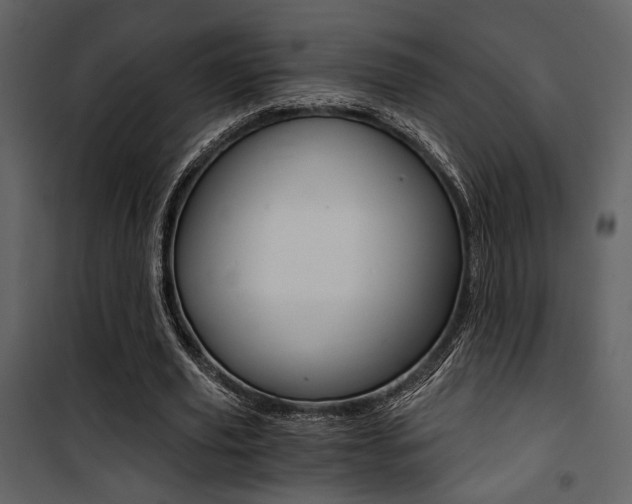 X0000101950629200807171134