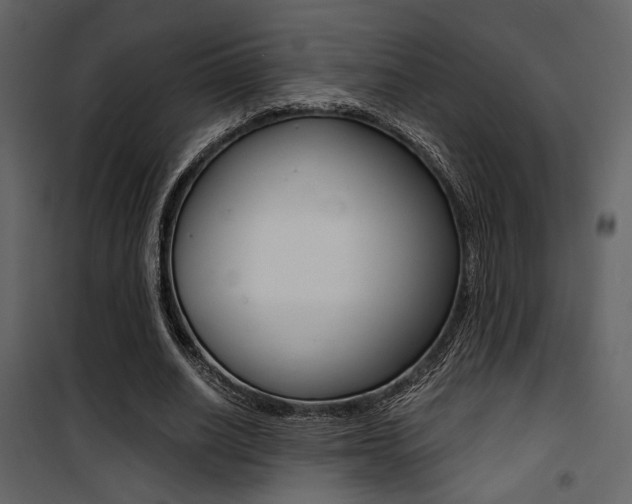 X0000101950630200807171134