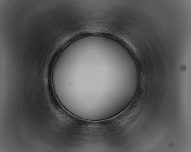X0000101950631200807171134