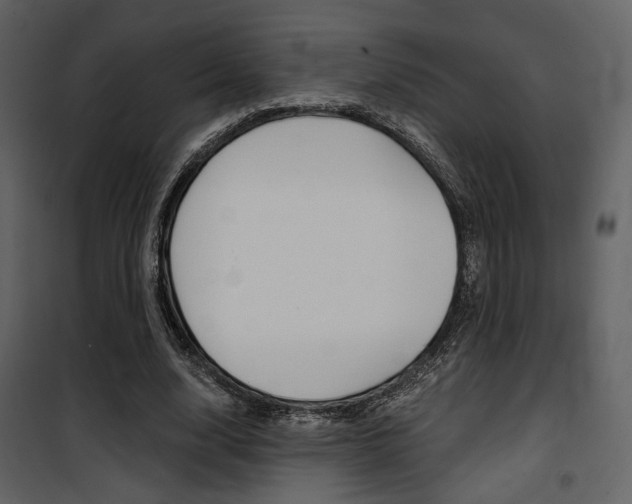 X0000101950632200807171134