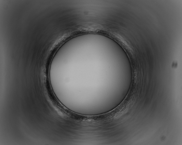 X0000101950634200807171134