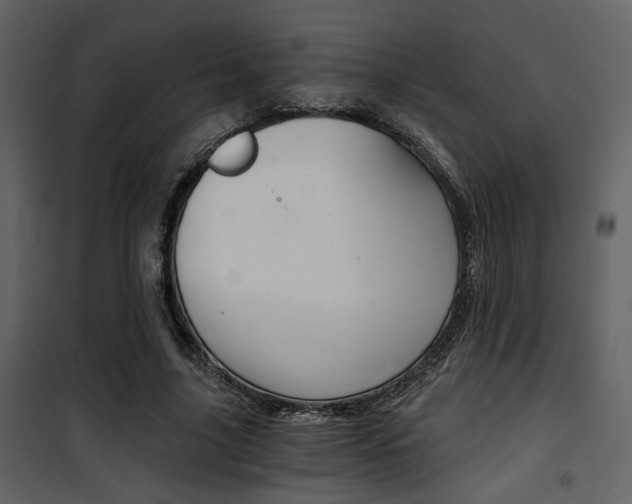 X0000101950635200807171134