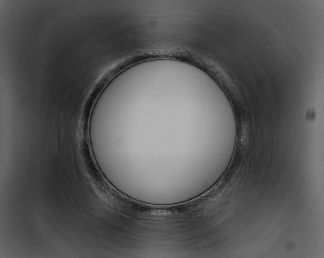 X0000101950636200807171134