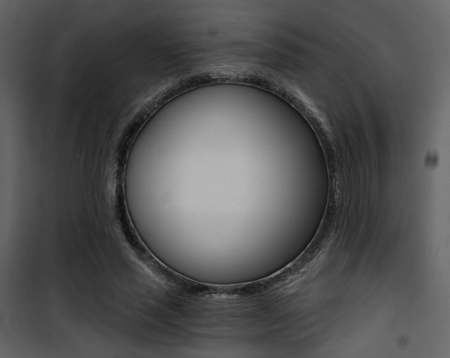 X0000101950637200807171134