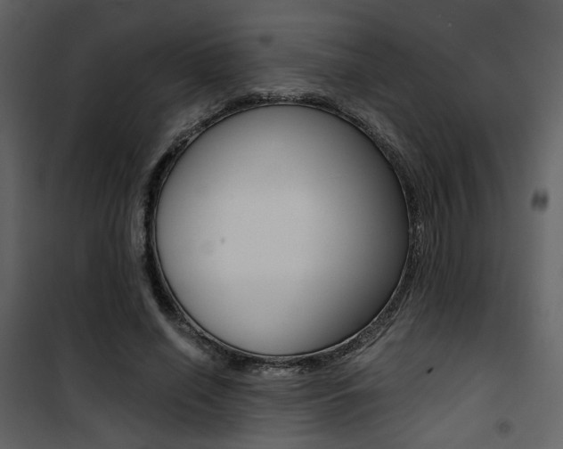 X0000101950638200807171134