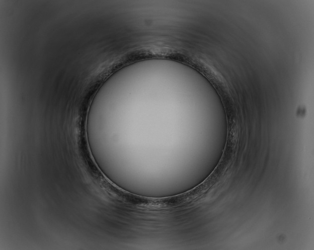 X0000101950639200807171134