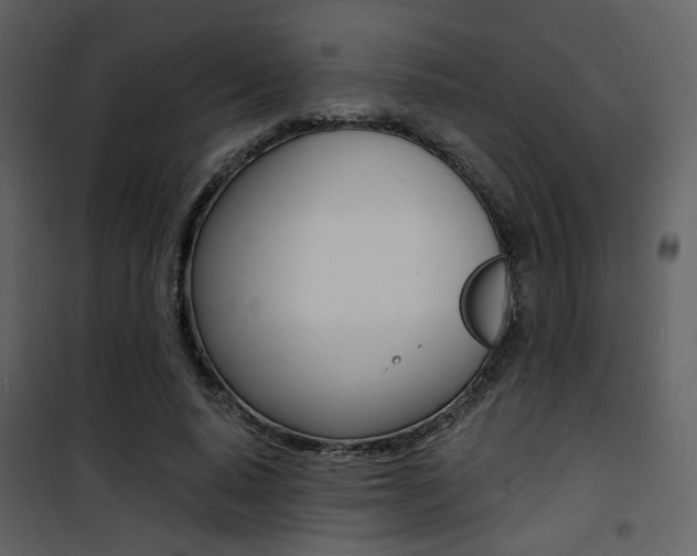 X0000101950640200807171134