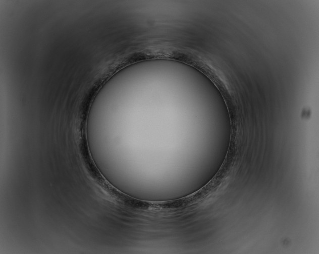 X0000101950641200807171134