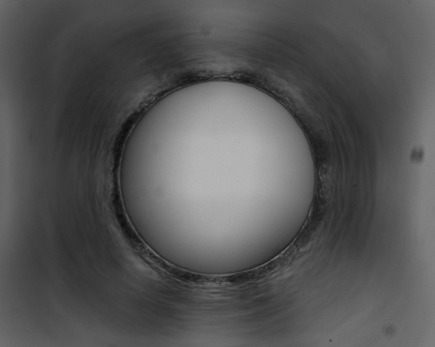 X0000101950642200807171134