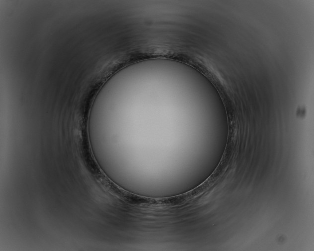 X0000101950643200807171134