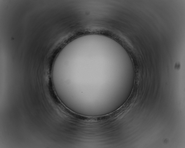 X0000101950644200807171134
