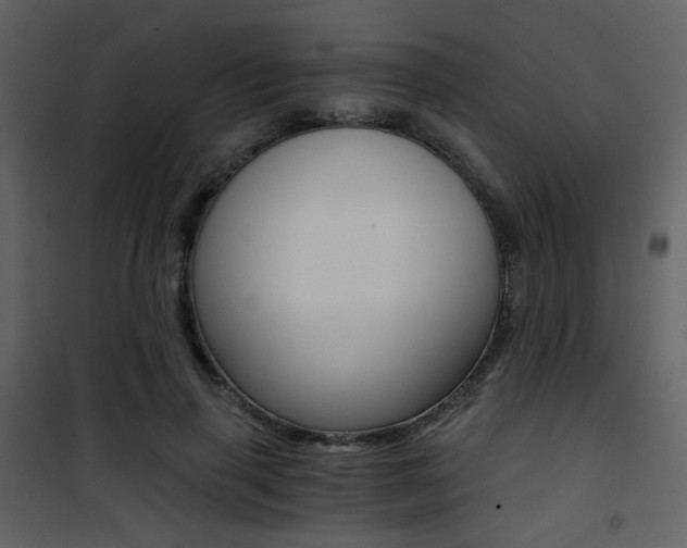 X0000101950645200807171134