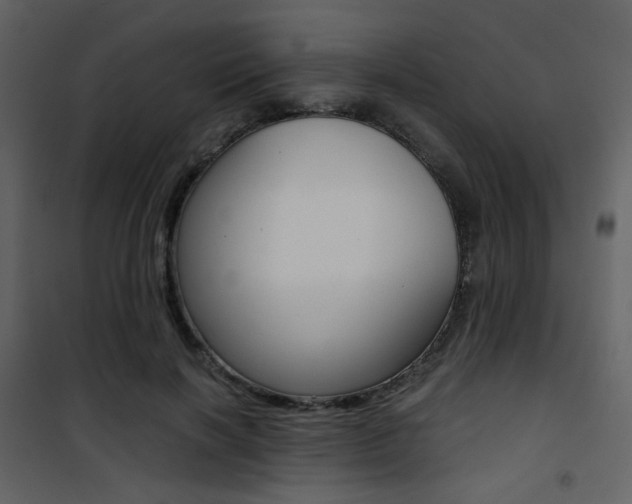X0000101950646200807171134