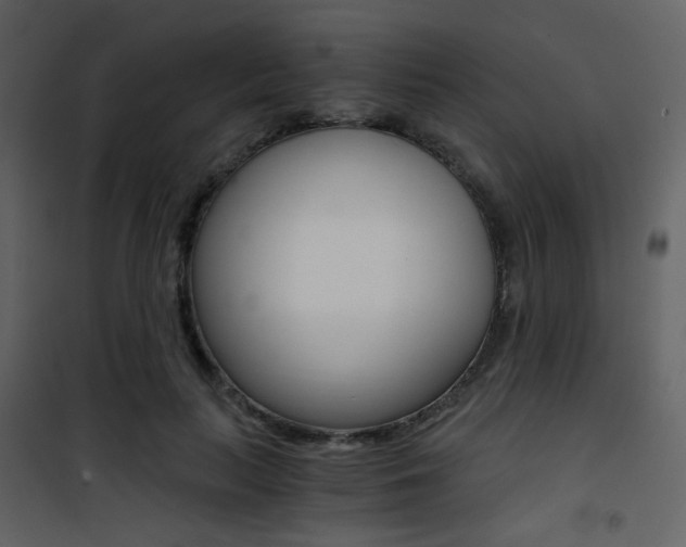 X0000101950647200807171134