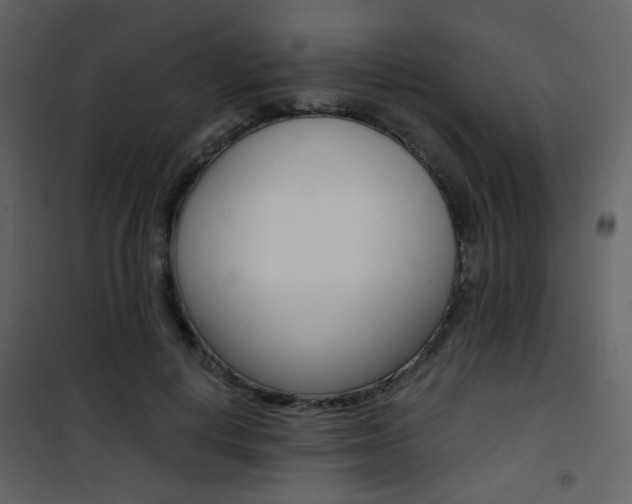 X0000101950648200807171134