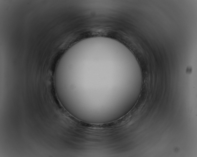 X0000101950649200807171134